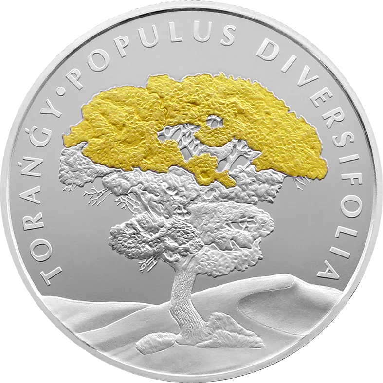 Populus diversifolia (Тураңға тал) - Аверс