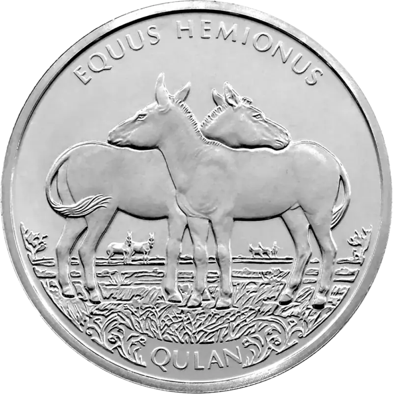 Kulan (100)-Reverse
