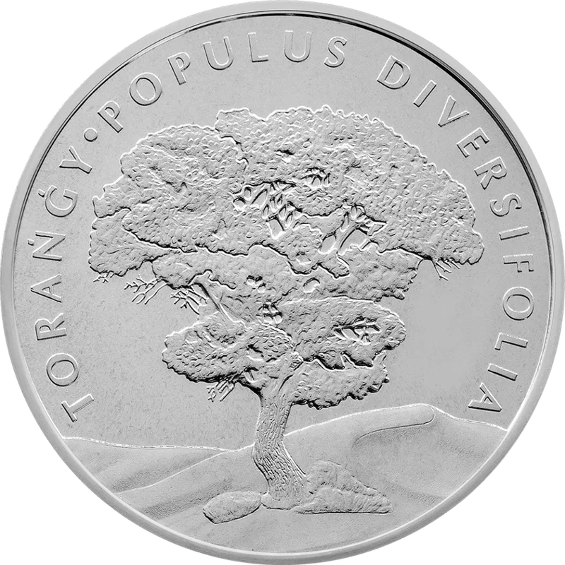 Populus diversifolia (Тұран топырағы) жарқын айналмаған - Артқы жағы