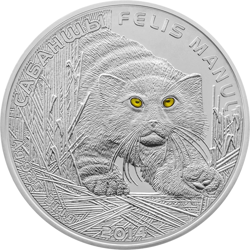 Manul (500)-Reverse