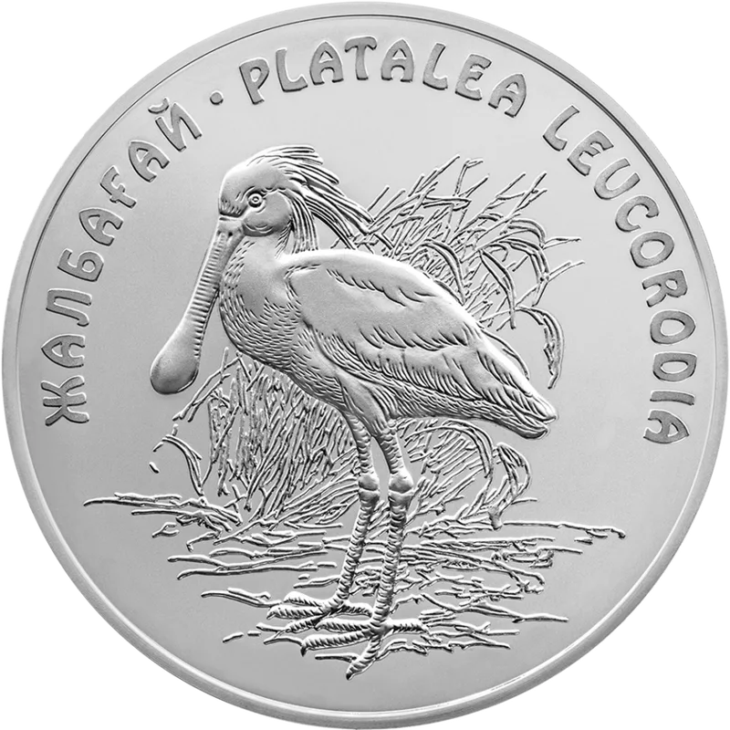 Kolpitsa (500)-Reverse