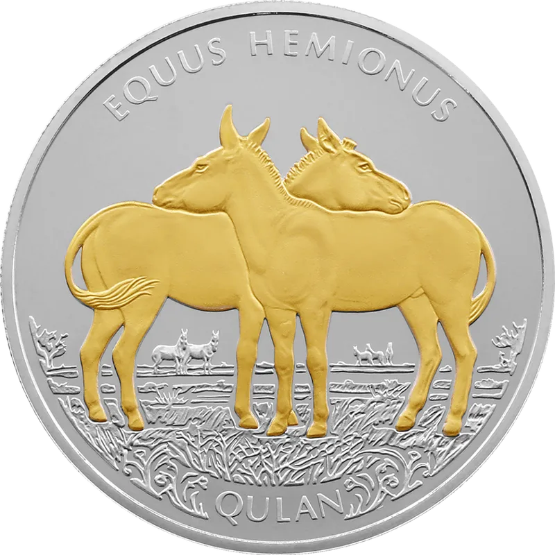 Kulan (200) -Reverse