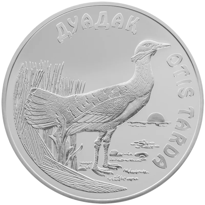Drofa (500)-Reverse